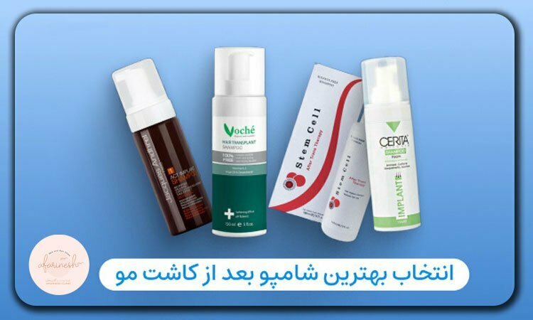 بعد از کاشت مو چه شامپویی بزنیم؟