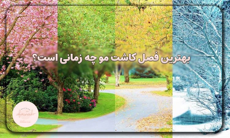 بهترین فصل کاشت مو چه زمانی است؟