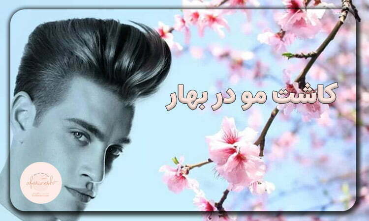 کاشت مو در بهار