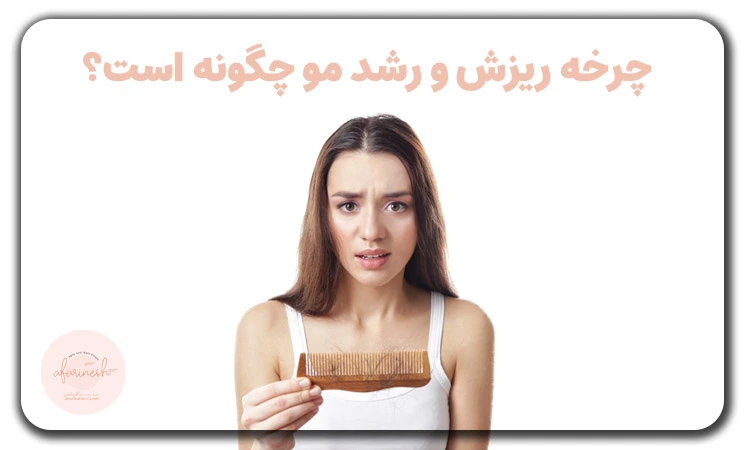 چرخه ریزش و رشد مو چگونه است