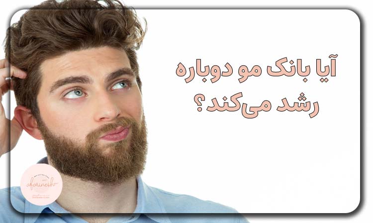 آیا بانک مو دوباره رشد می‌کند؟