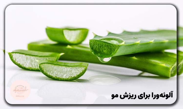آلوئهورا برای ریزش مو