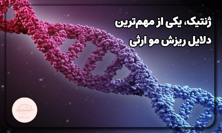 ژنتیک، یکی از مهم‌ترین دلایل ریزش مو ارثی