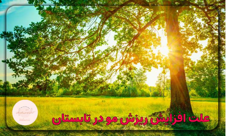 علت افزایش ریزش مو در تابستان