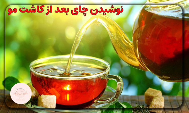 خوردن چای بعد از کاشت مو