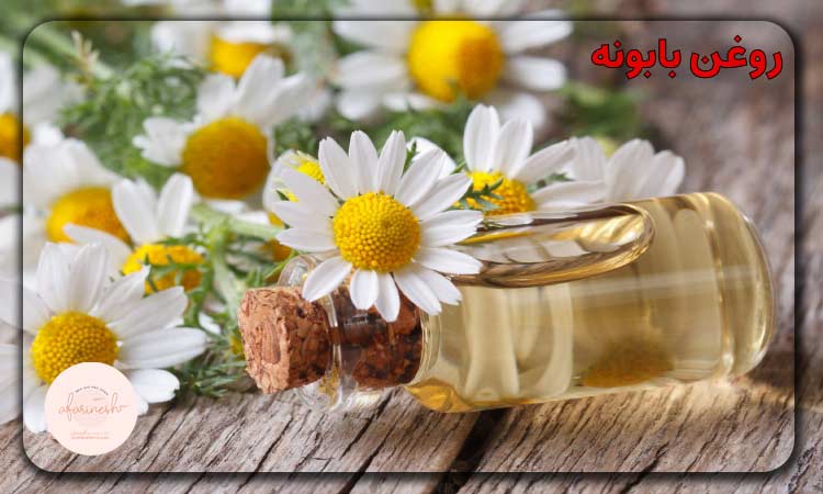 روغن بابونه