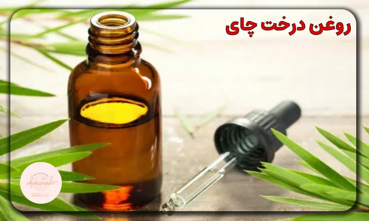 روغن درخت چای