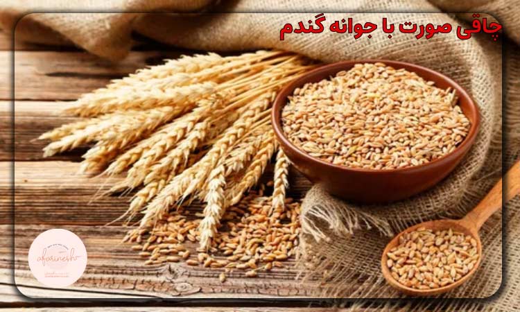 چاقی صورت با جوانه گندم