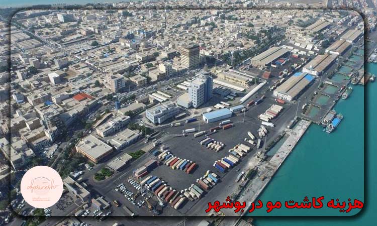 هزینه کاشت مو در بوشهر