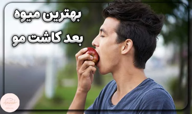 بهترین میوه بعد از کاشت مو