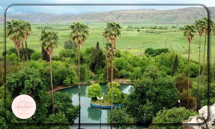 کاشت مو در کهگیلویه و بویراحمد