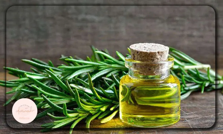 تاثیر روغن رزماری بر رشد مو