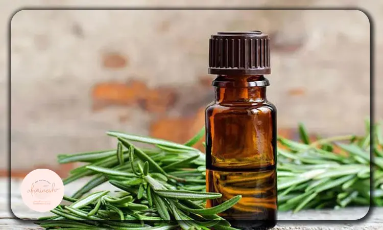 زمان استفاده از روغن رزماری برای مو