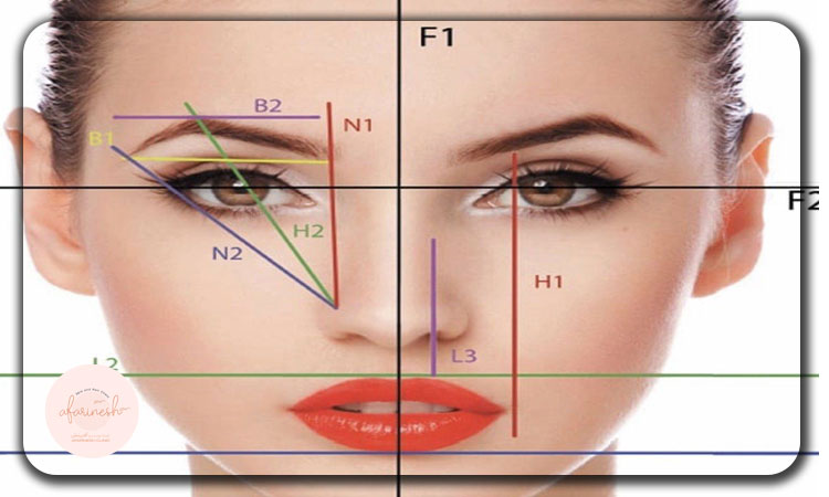 مدل زاویهدار (Angled Eyebrow)