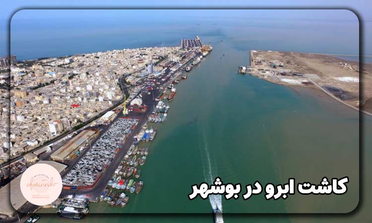 کاشت ابرو در بوشهر