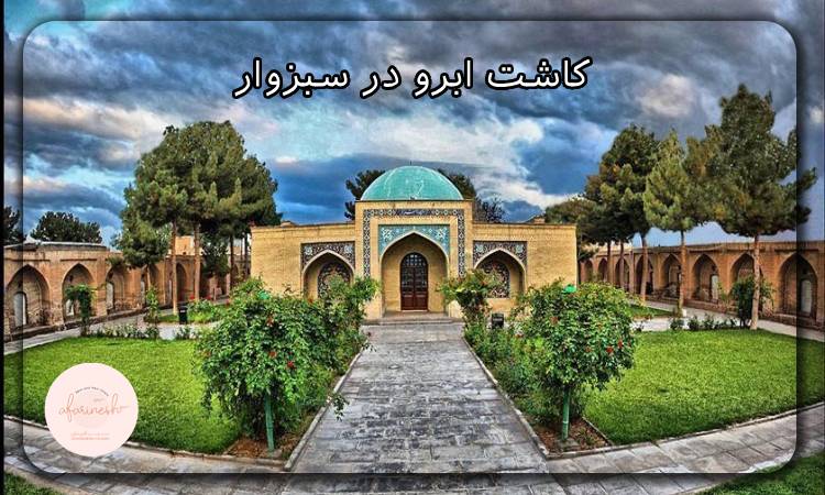 کاشت ابرو در سبزوار
