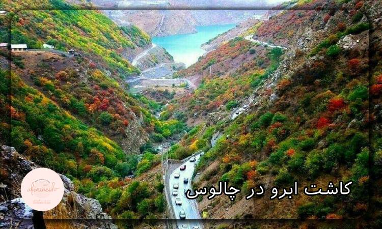 کاشت ابرو در چالوس