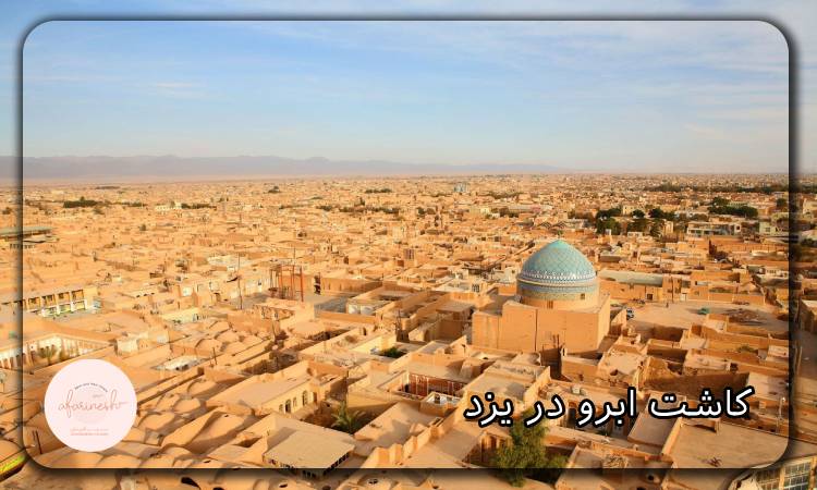کاشت ابرو در یزد