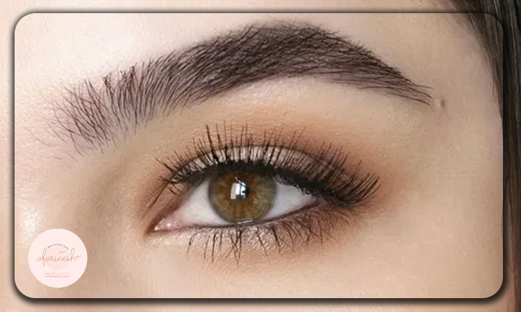 مدل طبیعی (Natural Eyebrow)