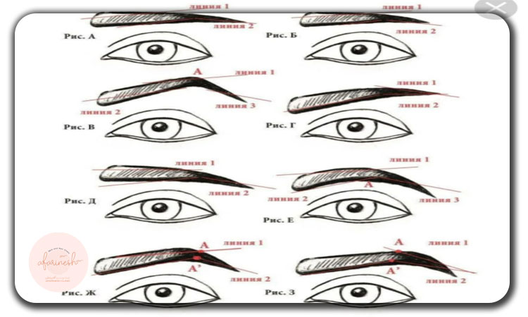 انواع مدل های کاشت ابرو