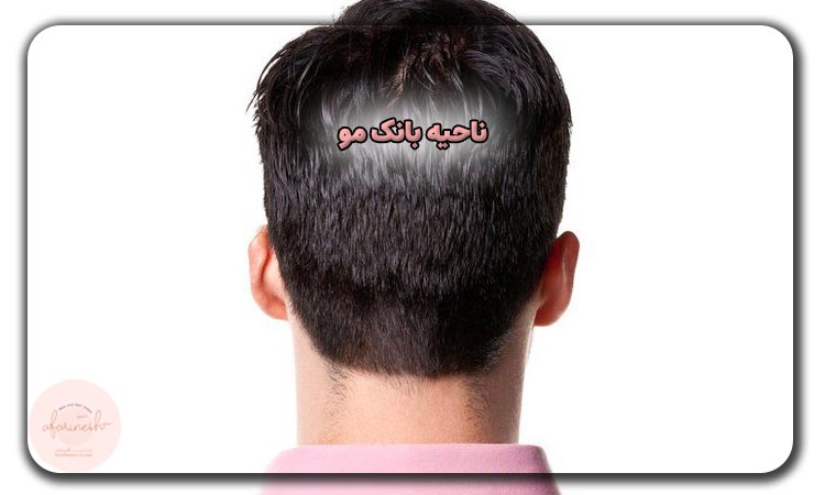 بانک مو کجاست؟