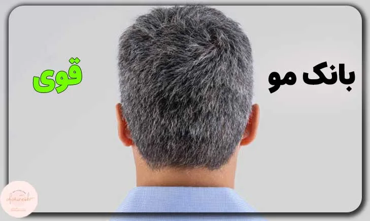 عکس بانک مو قوی