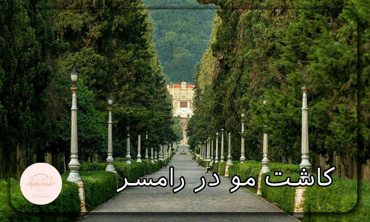 کاشت مو در رامسر