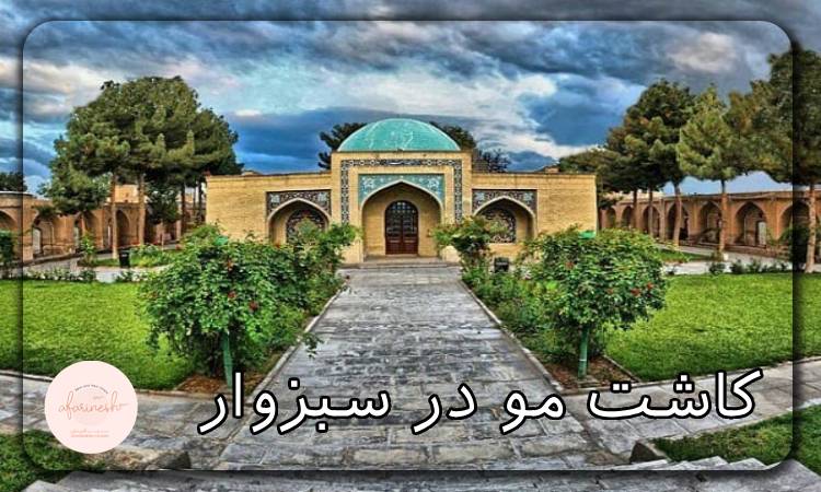 کاشت مو در سبزوار