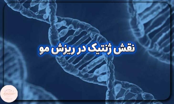نقش ژنتیک در ریزش مو