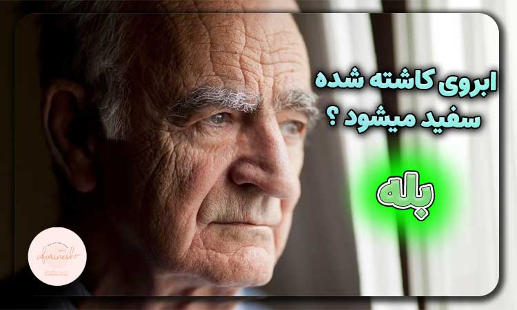 آیا ابروی کاشته شده سفید میشود