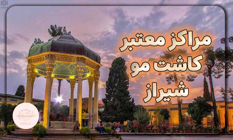 مراکز معتبر کاشت مو بدون نیاز به بانک مو در شیراز