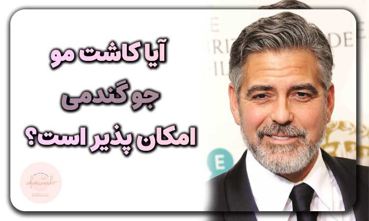 آیا کاشت مو جو گندمی امکان ‌پذیر است؟