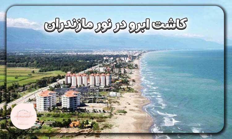 کاشت ابرو در نور مازندران