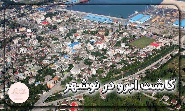 کاشت ابرو در نوشهر
