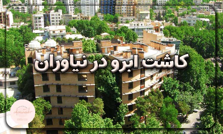 کاشت ابرو در نیاوران