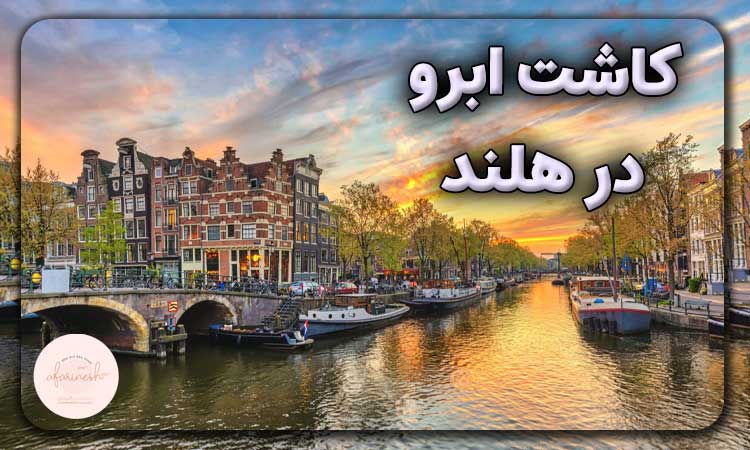 کاشت ابرو در هلند