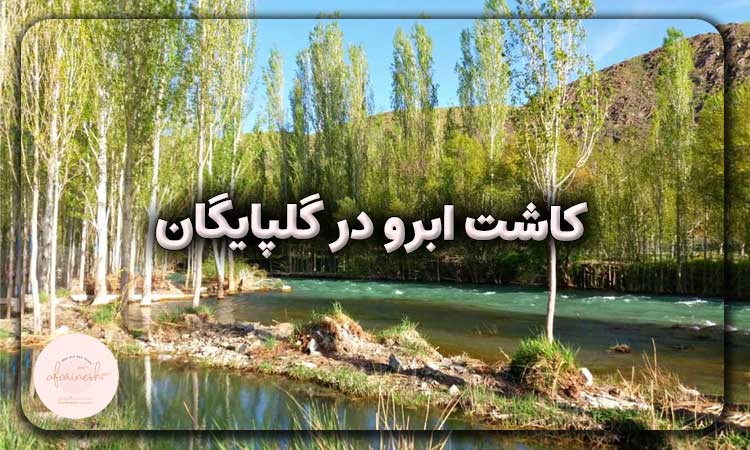 کاشت ابرو در گلپایگان