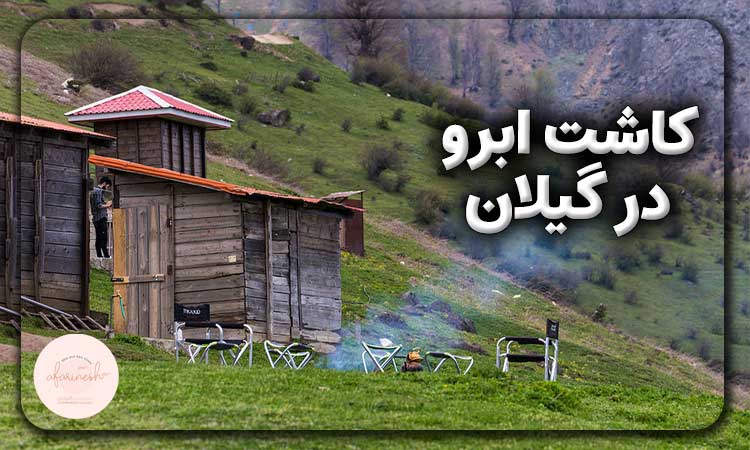 کاشت ابرو در گیلان
