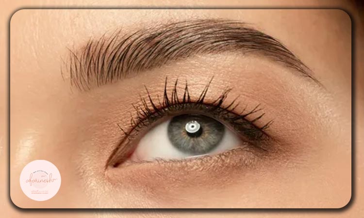 مدل ابروی کمانی ملایم