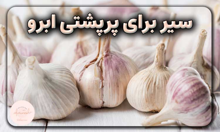 سیر