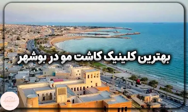 بهترین کلینیک کاشت مو در بوشهر