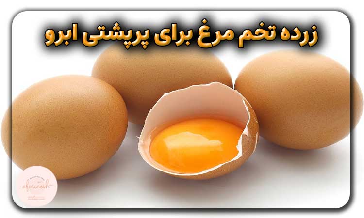 زرده تخم مرغ
