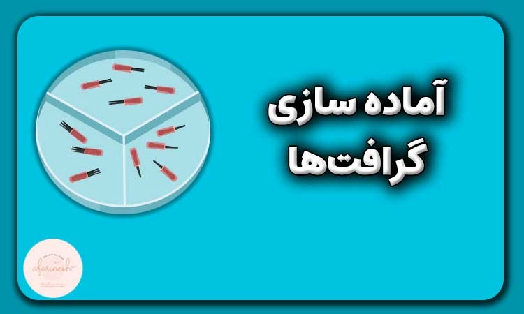 آماده سازی گرافت ها