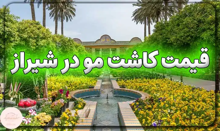 قیمت کاشت مو در شیراز