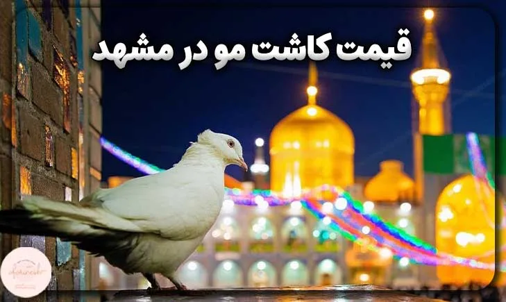 قیمت کاشت مو در مشهد