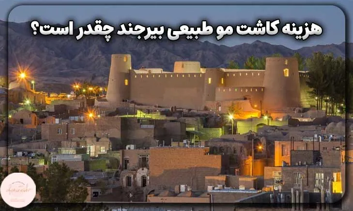 هزینه کاشت مو طبیعی بیرجند چقدر است؟