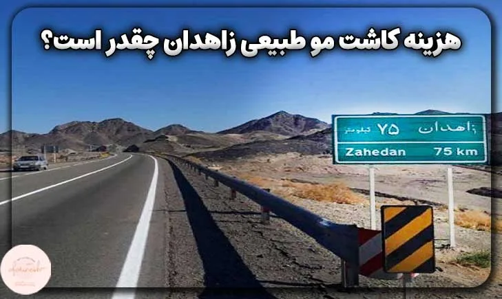 هزینه کاشت مو طبیعی زاهدان چقدر است؟