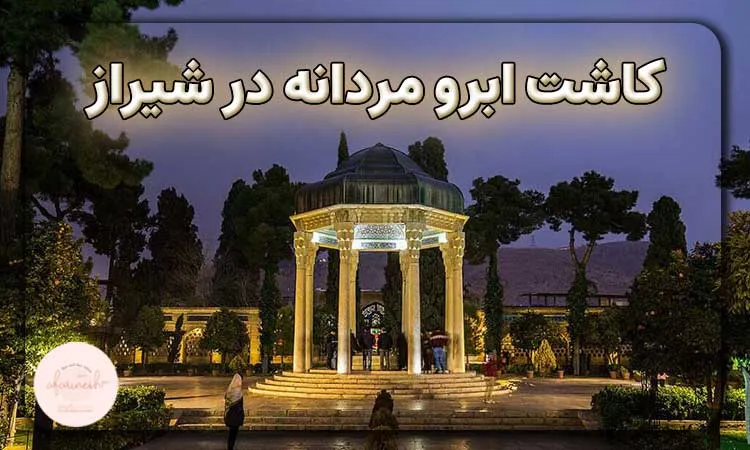 کاشت ابرو مردانه در شیراز