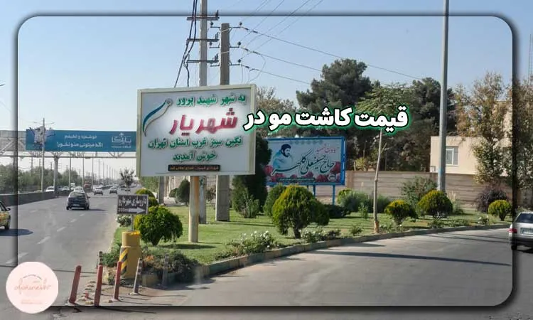قیمت کاشت مو در شهریار