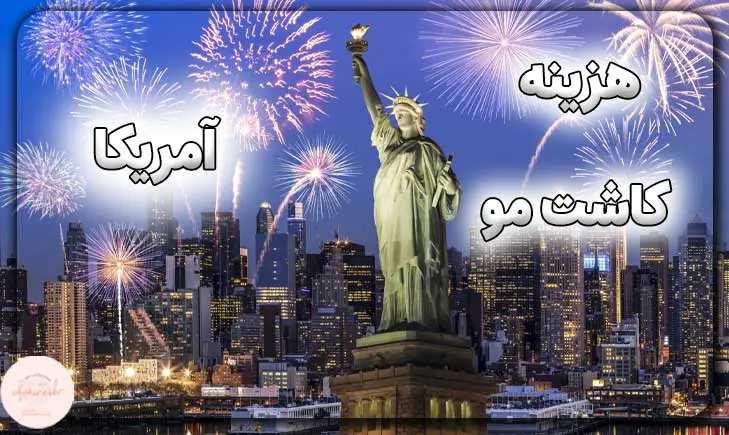 هزینه کاشت مو در آمریکا چقدر است؟